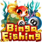 Cau Ca Bingo - windd games